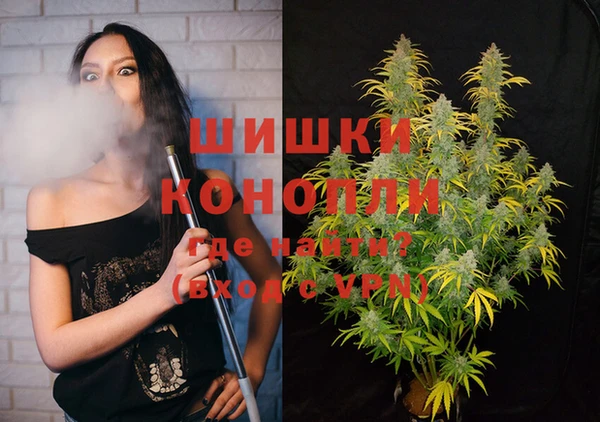 индика Аркадак