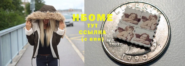 индика Аркадак
