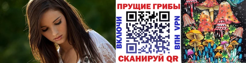 Галлюциногенные грибы мицелий  где купить   Слободской 